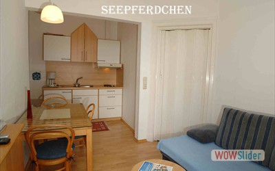 Seepferdchen_1