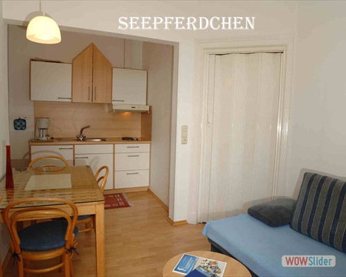 Seepferdchen_1