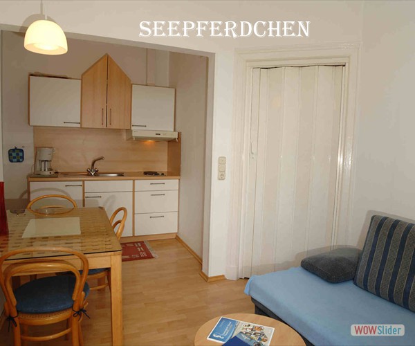 Seepferdchen_1